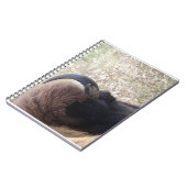 Carnet Tête de bison se couchant (Côté gauche)