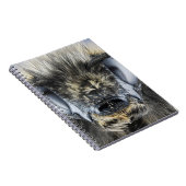 Carnet Tête de bourdon (Côté Droit)