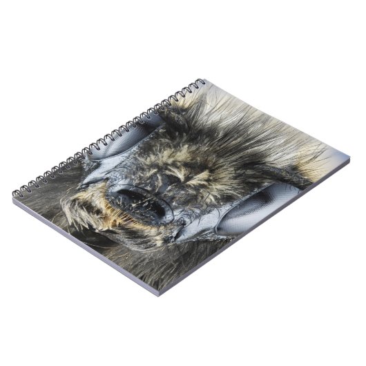 Carnet Tête de bourdon (Côté gauche)