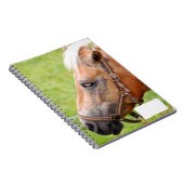 Carnet Tête de cheval 003 (Côté Droit)