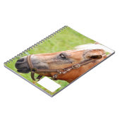 Carnet Tête de cheval 003 (Côté gauche)