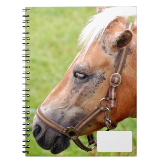 Carnet Tête de cheval 003 (Devant)