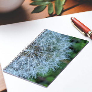 Carnet Tête de graine de Pissenlit Fluffy Photo
