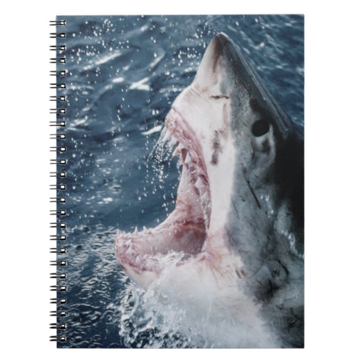 Carnet Tête de grand requin blanc (Devant)