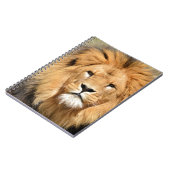 Carnet Tête de Lions (Côté gauche)
