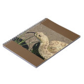 Carnet Tête de serpent à sonnette de prairie R8 (Côté gauche)