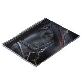 Carnet Tête d'étalon noir bridé (Côté gauche)
