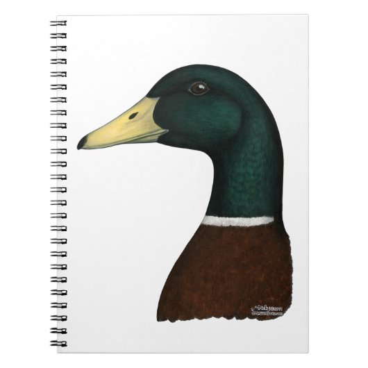 Carnet Tête Mallard Drake (Devant)