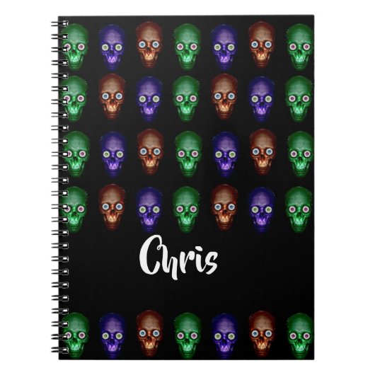 Carnet Têtes de crâne colorées (Devant)