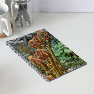 Carnet Têtes de violon de fougère botanique