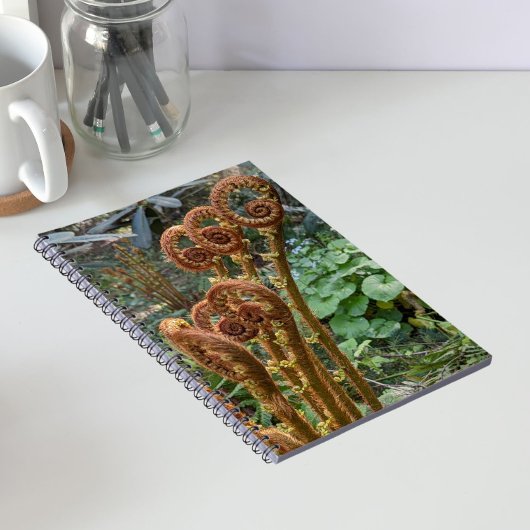 Carnet Têtes de violon de fougère botanique