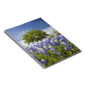 Carnet Texas bluebonnets (lupinus texensis) et chêne (Côté Droit)