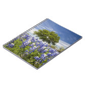 Carnet Texas bluebonnets (lupinus texensis) et chêne (Côté gauche)