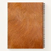 Carnet Texture de la fourrure brune de vache Highland (Dos)