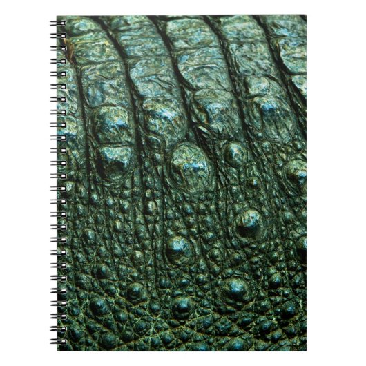 Carnet Texture de la peau de l'alligator vert (Devant)