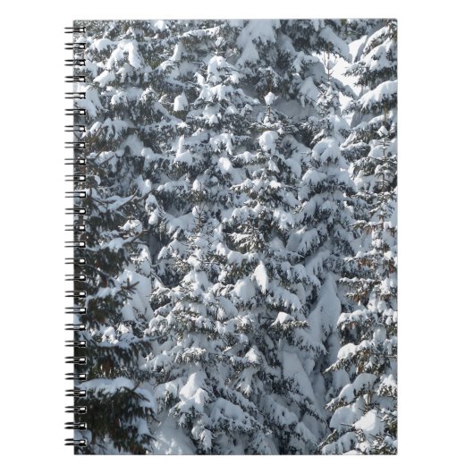 Carnet Texture de l'arbre à neige (Devant)
