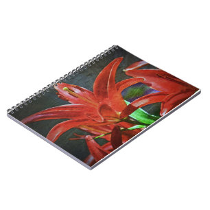 Carnet Texture de Lily-rouge par Shirley Taylor