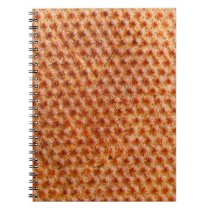 Carnet Texture de pain avec beaucoup de points (après cui