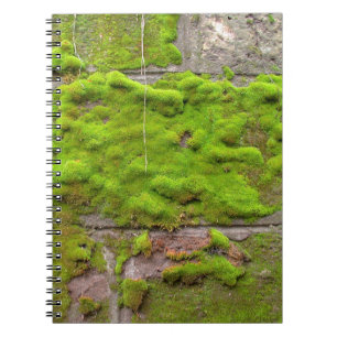 Carnet texture de roche verte murale