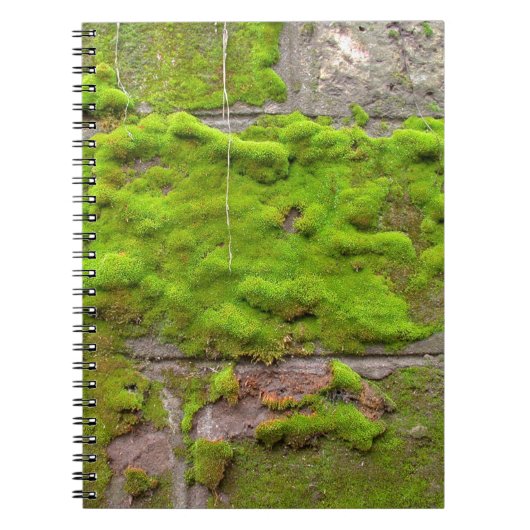 Carnet texture de roche verte murale (Devant)