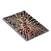 Carnet Texture par bandes (Côté Droit)