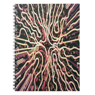 Carnet Texture par bandes