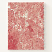 Carnet Texture rose en marbre d'or (Dos)