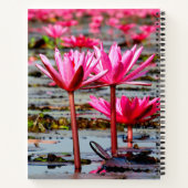 Carnet Thailand - Kumphawapi Lotus Lake (Dos)