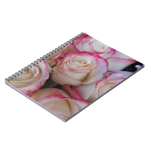 Carnet Thamar (Côté gauche)