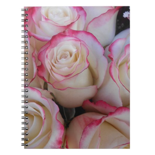 Carnet Thamar (Devant)