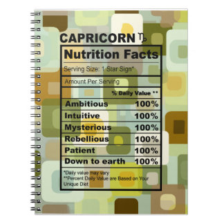 Carnet 🐐 The Architect's Journal: Capricorn Edition 