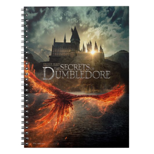 Carnet The Secrets of Dumbledore Theatrical Poster (Devant)