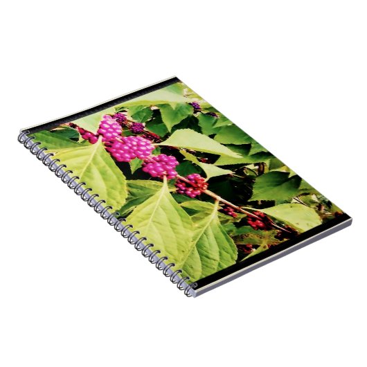 Carnet Thème du printemps (Côté Droit)