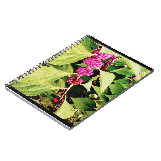 Carnet Thème du printemps (Côté gauche)