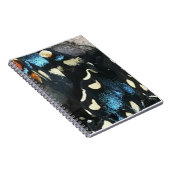 Carnet Théorie du chaos (Côté Droit)