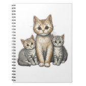 Carnet Three Little Kittens (Devant)