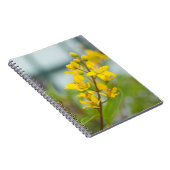 Carnet Thryallis doré (Côté Droit)