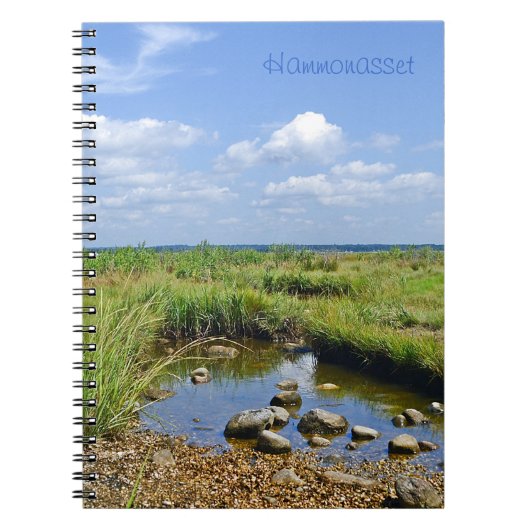Carnet Tidepool (Devant)