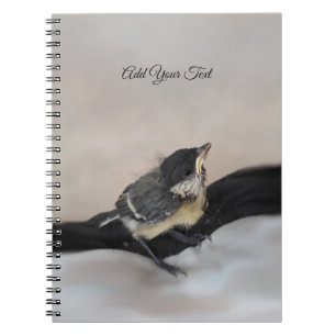 Carnet Tidi my Bird le Parus Major