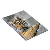 Carnet Tiger017 (Côté Droit)