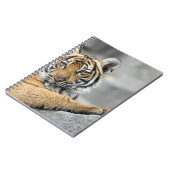 Carnet Tiger017 (Côté gauche)