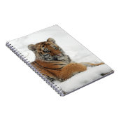 Carnet Tiger_2015_0102 (Côté Droit)