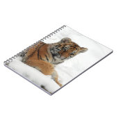 Carnet Tiger_2015_0102 (Côté gauche)