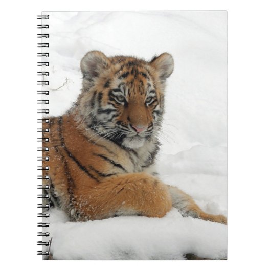 Carnet Tiger_2015_0102 (Devant)