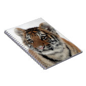 Carnet Tiger_2015_0114 (Côté Droit)