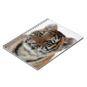 Carnet Tiger_2015_0114 (Côté gauche)