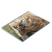 Carnet Tiger_2015_0156 (Côté gauche)