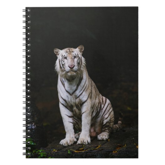 CARNET TIGER BLANC (Devant)