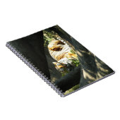 Carnet Tiger Catnap (Côté Droit)