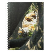 Carnet Tiger Catnap (Devant)